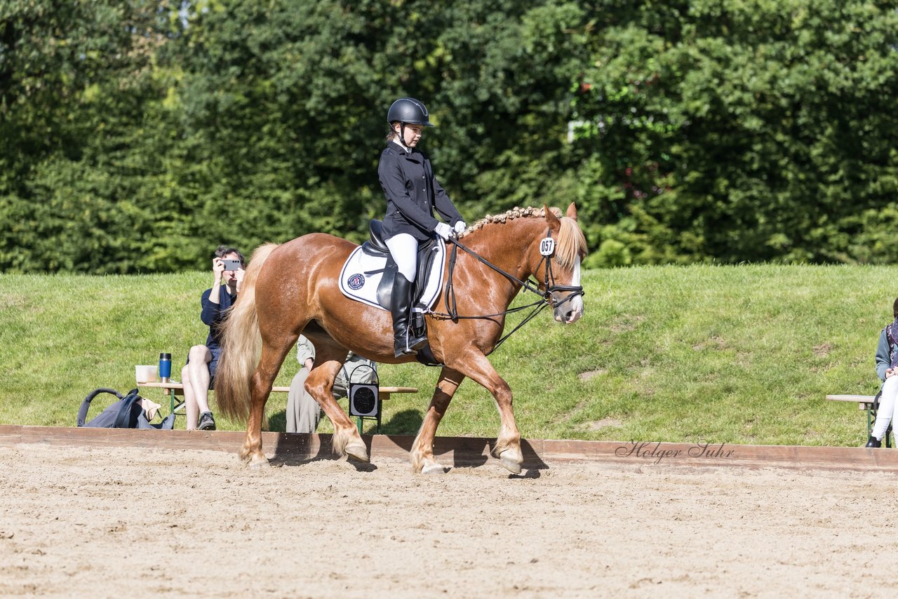Bild 31 - Pony Akademie Turnier